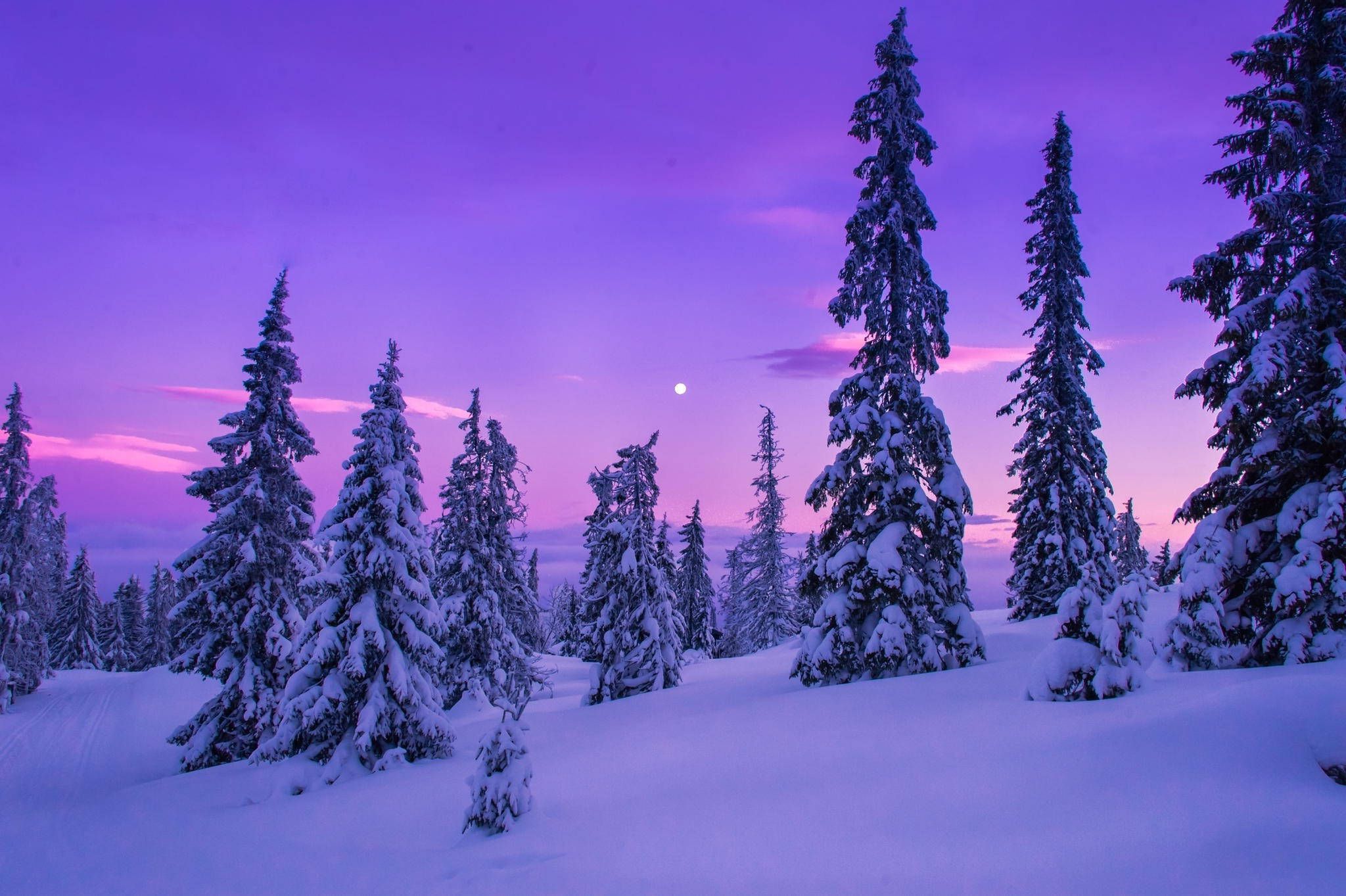 Download Snow Aesthetic Twilight Wallpaper