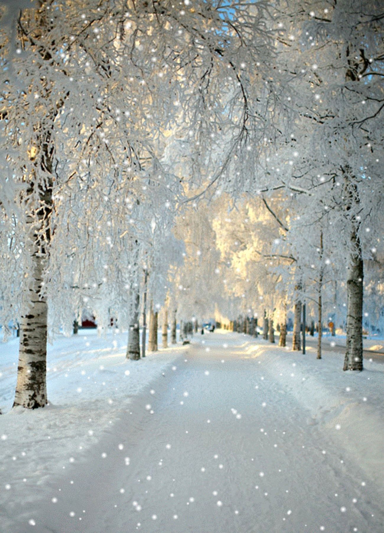 Snow aesthetic Wallpaper Download