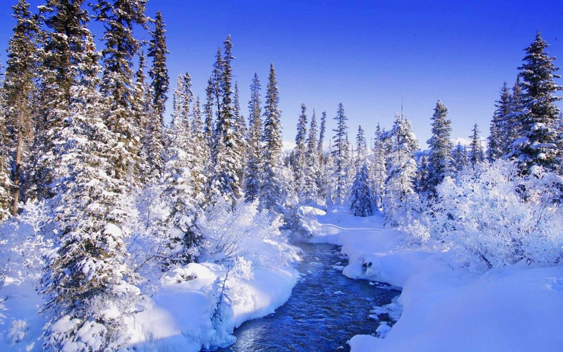 A river running through snow covered trees - Snow, ice, winter