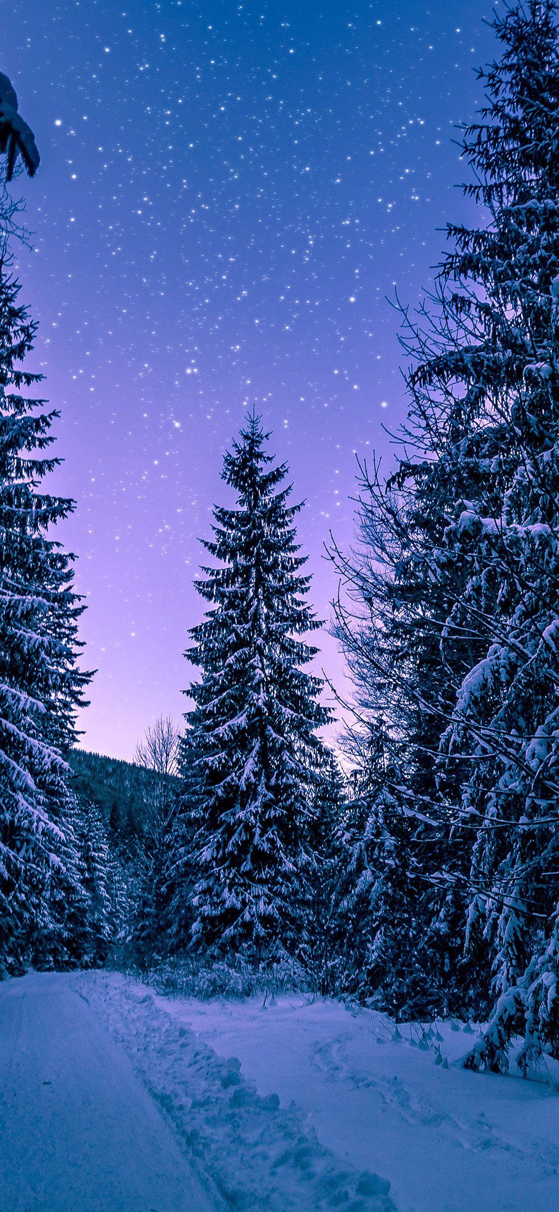 Download wallpapers 1242x2208 winter, snow, spruce forest, trees, nature, night, stars, purple sky, iPhone X, XS, iPhone 11 Pro Max, iPad Pro 2018, 2019, 2020, mobile wallpaper, background, image, photo, picture, screensaver, wallpaper, postcard, art, illustration - Snow