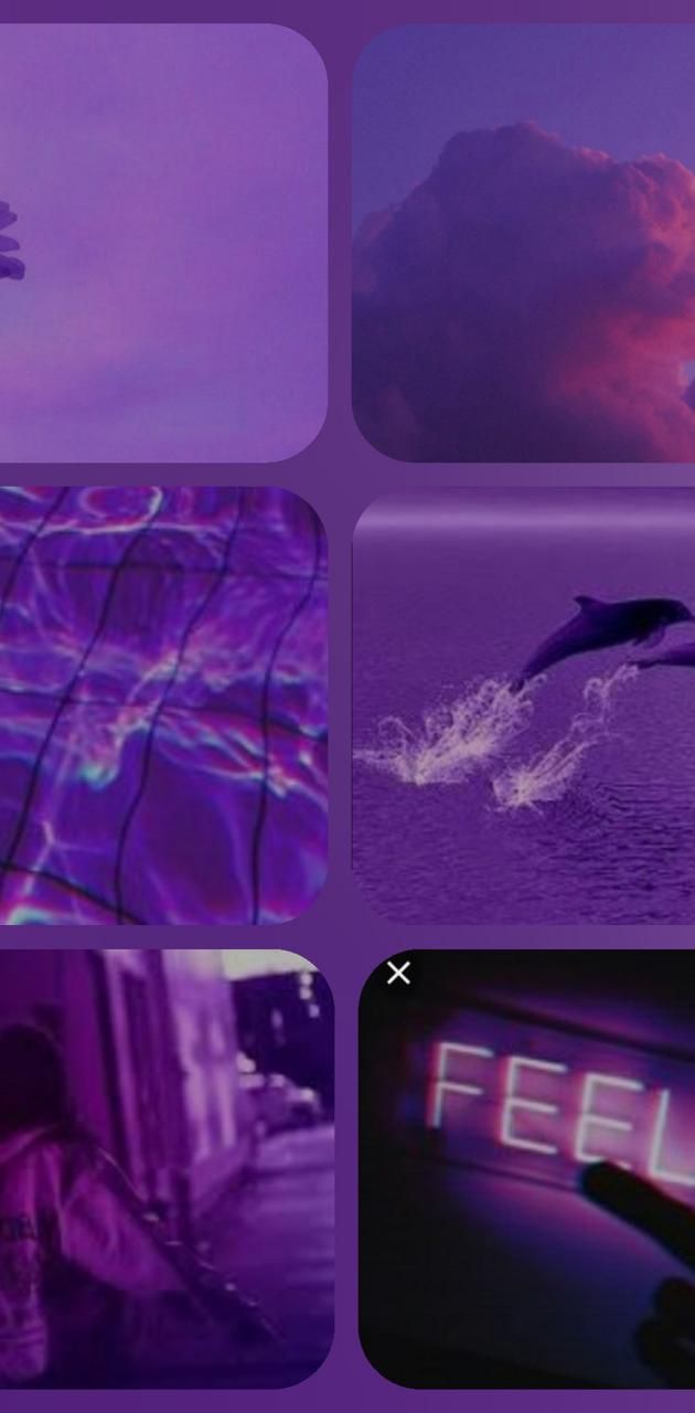 A series of pictures with purple backgrounds - Light purple