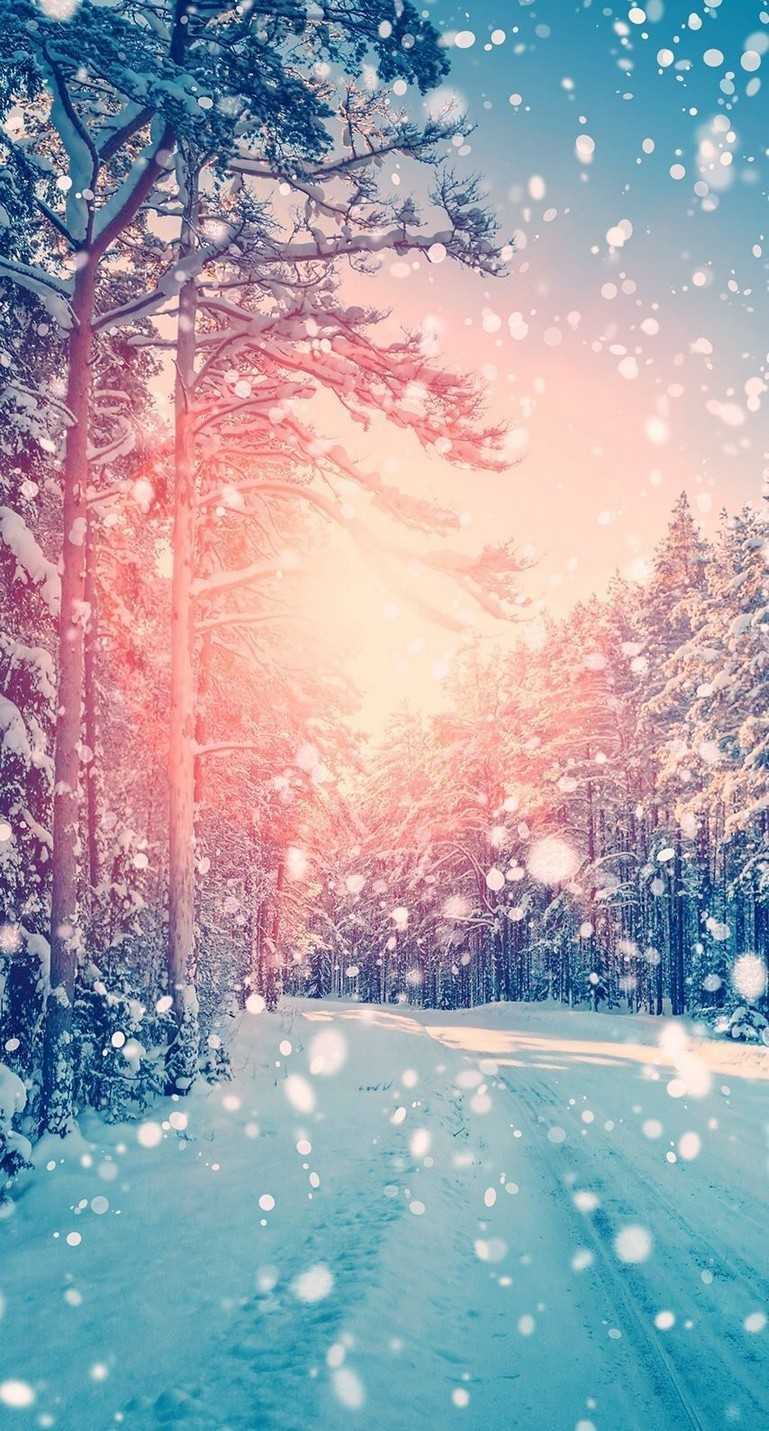 A snowy road in the forest with sunlight shining through - Rose gold, snow, winter, gold
