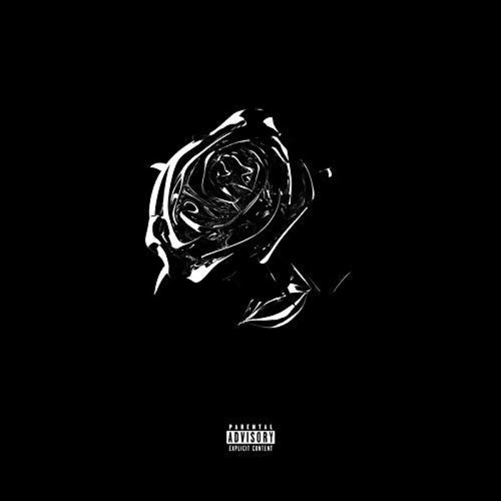The black rose by person - Smoke