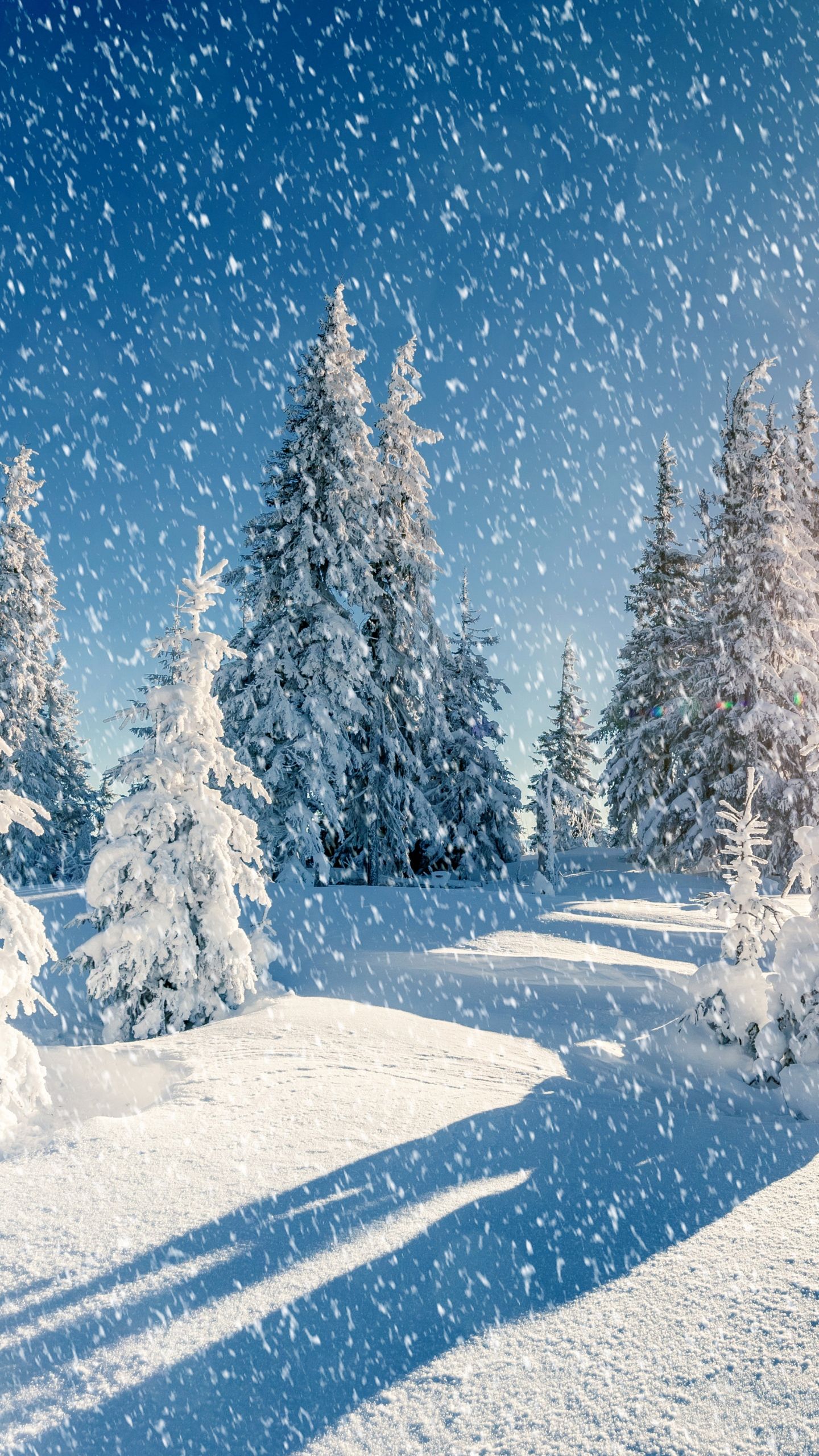 Snow. Winter Aesthetic Wallpaper Download