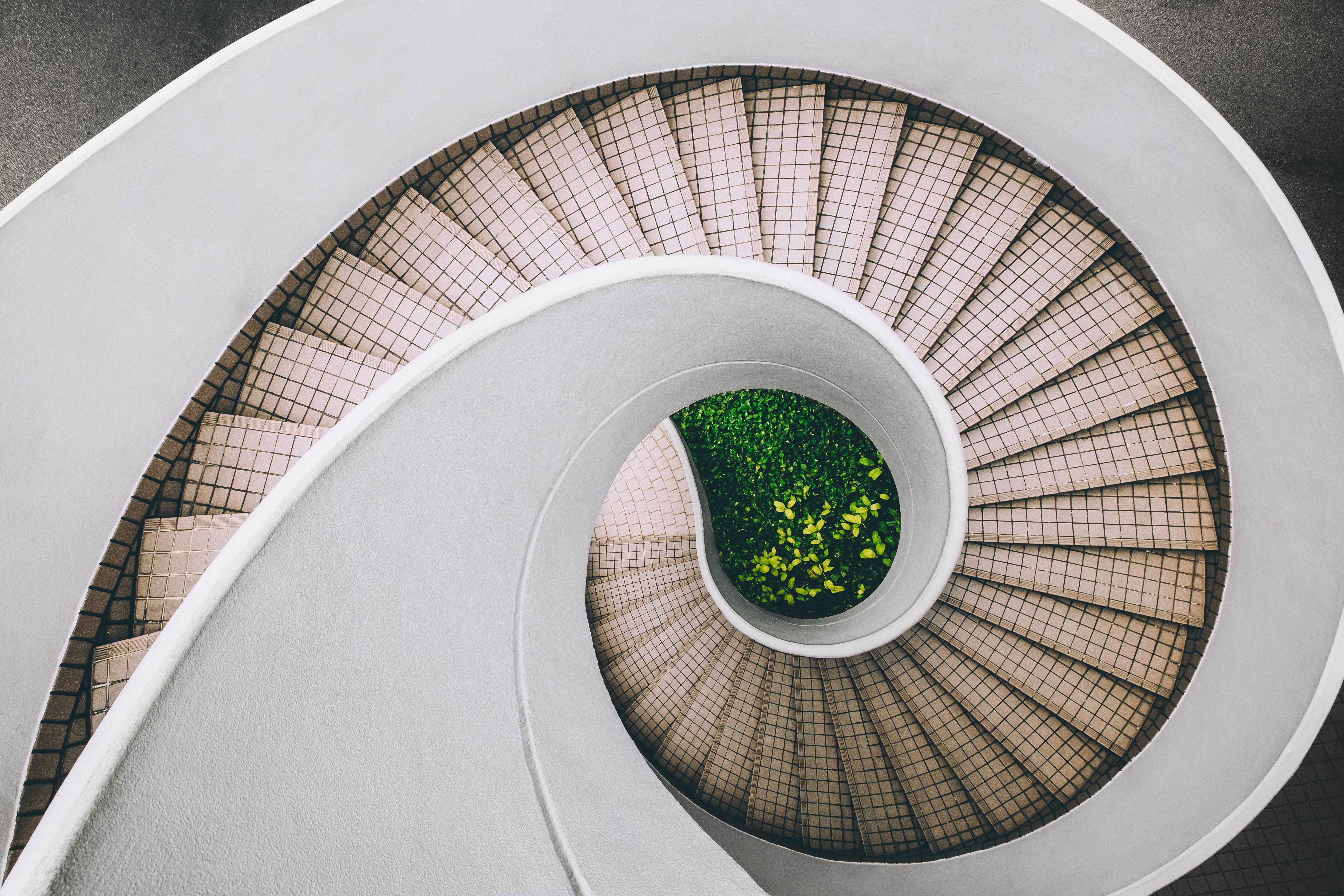 A spiral staircase with a green plant at the bottom - Architecture
