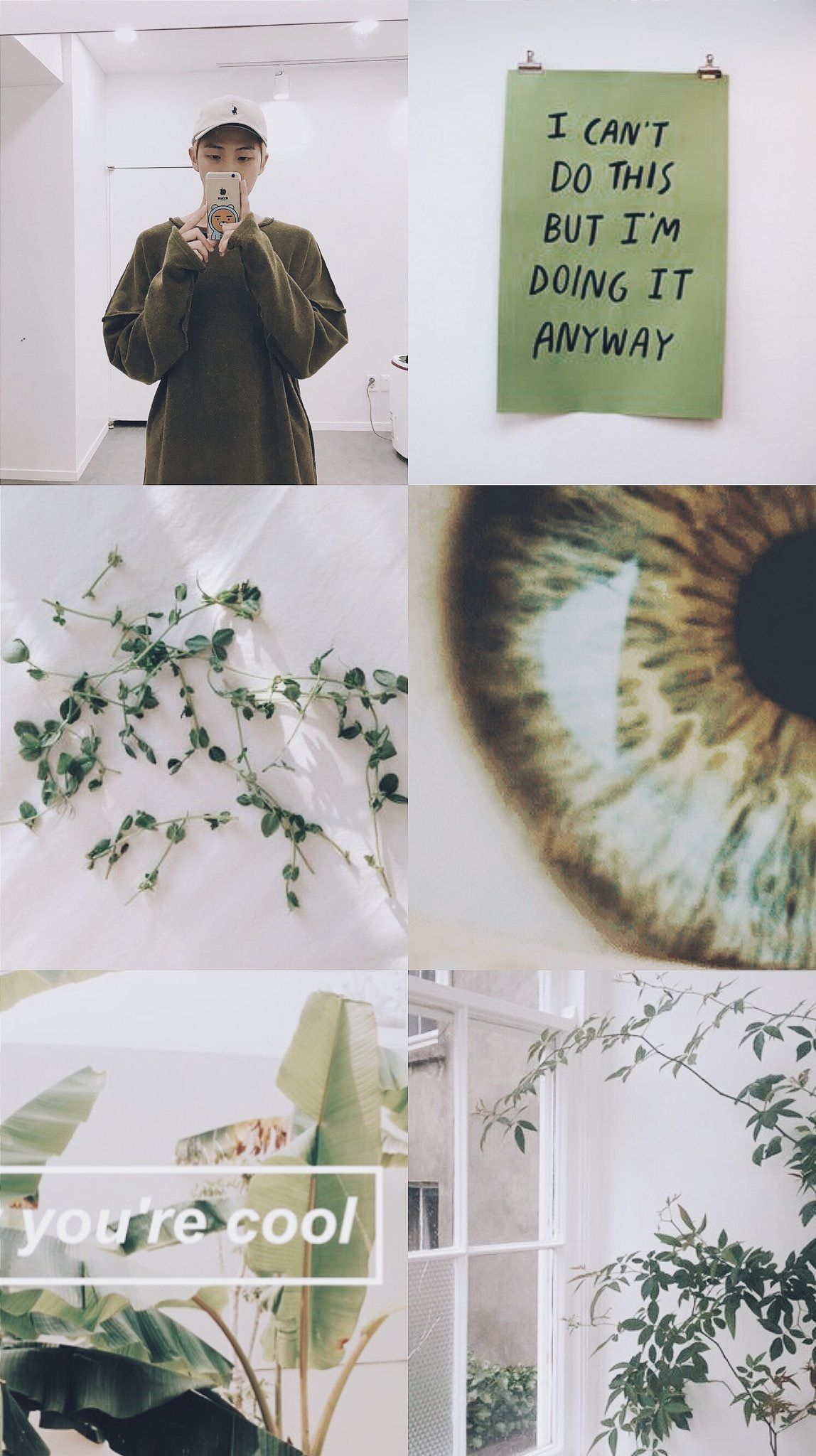 A collage of a person taking a photo, a green poster on the wall, and a close up of a plant. - Study