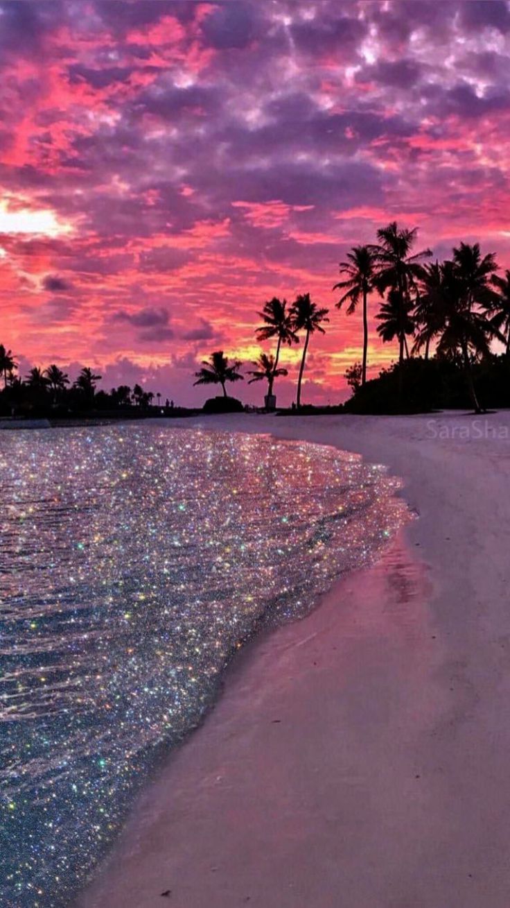 A beautiful sunset over a beach with palm trees and glittery water. - Vintage