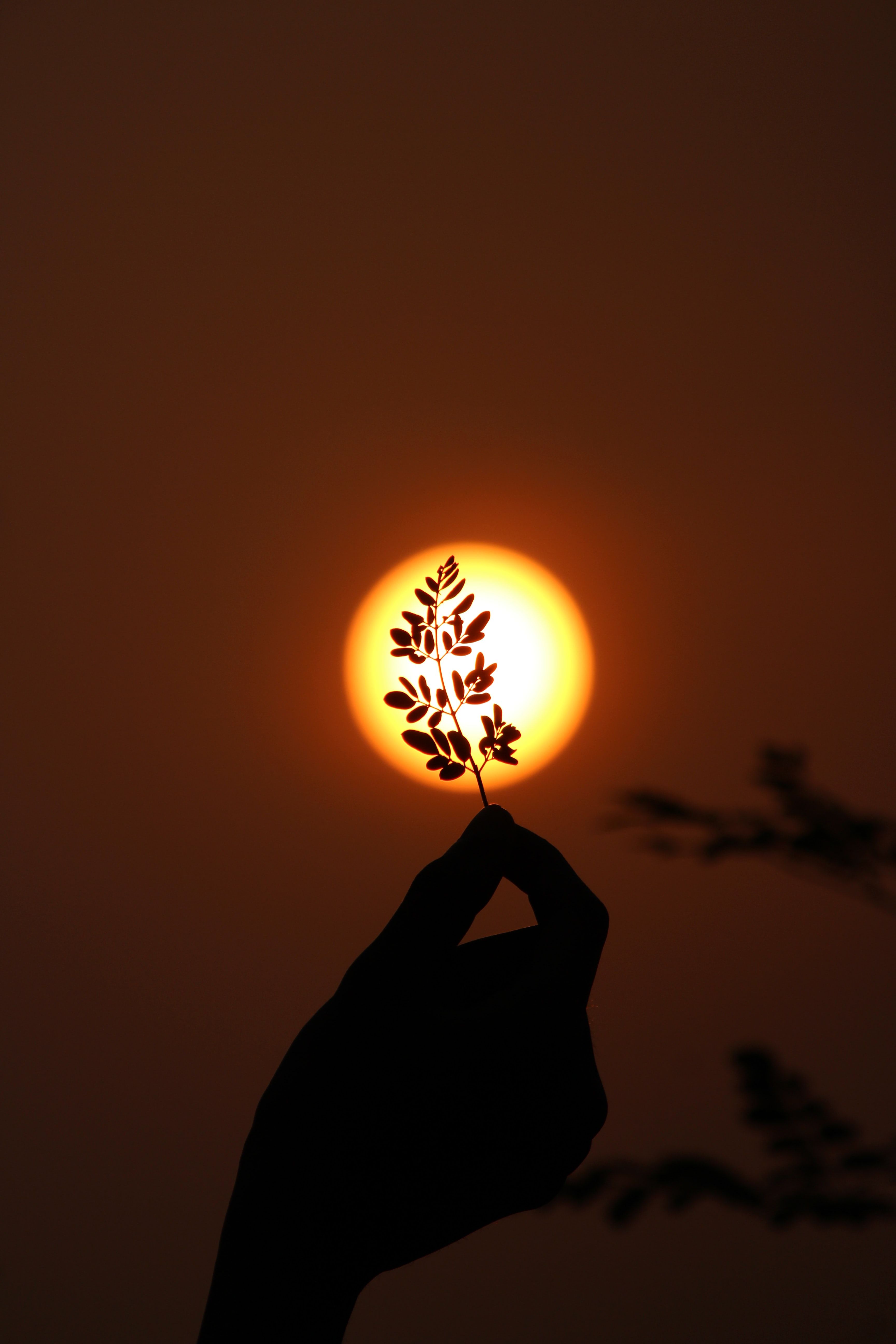 A person holding up something in front of the sun - Sun