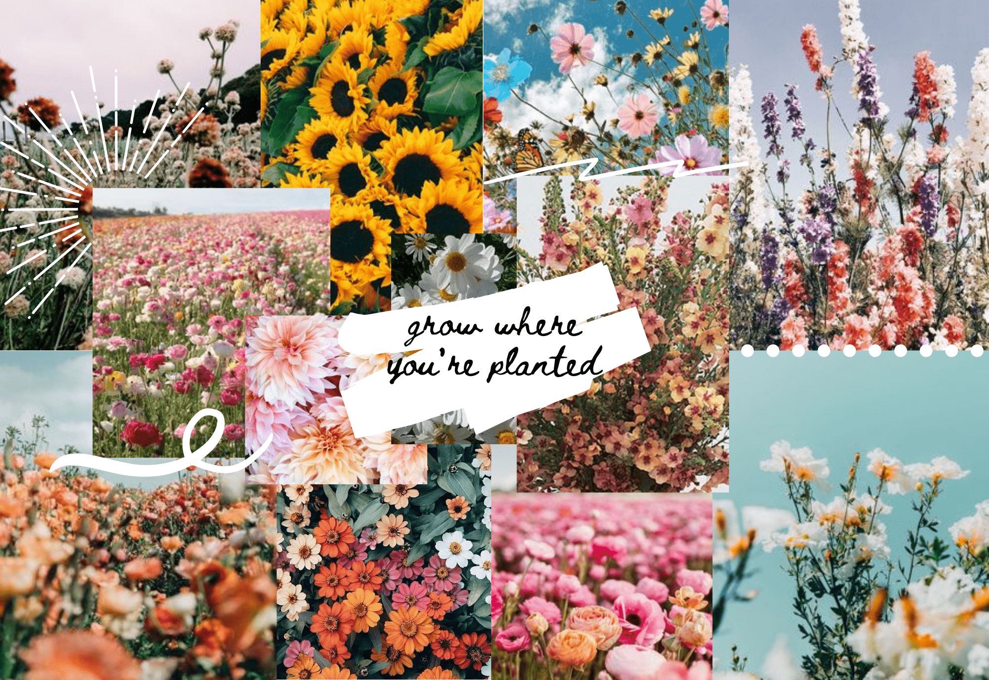 A collage of flowers with a quote that says 