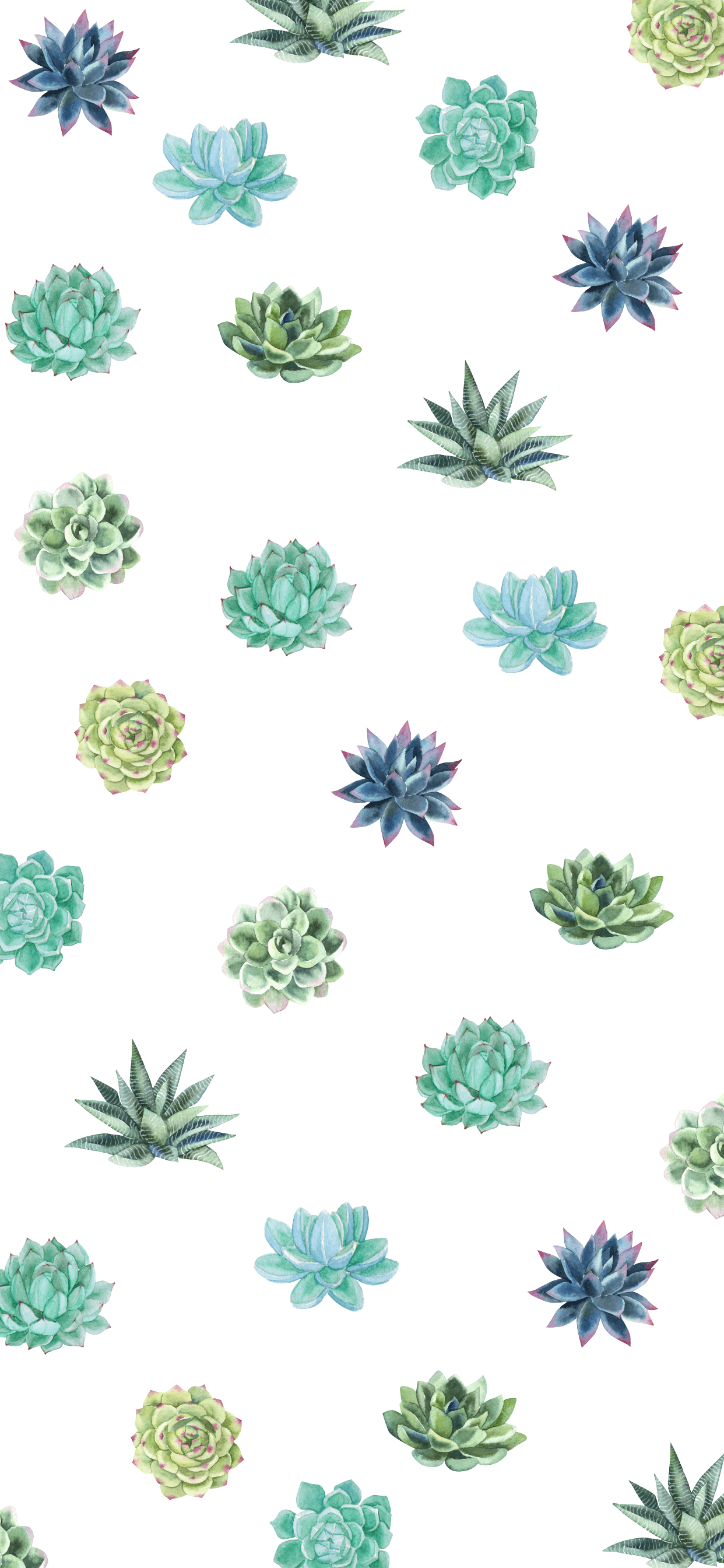 Cute Aesthetic Succulent Wallpaper Free Cute Aesthetic Succulent Background