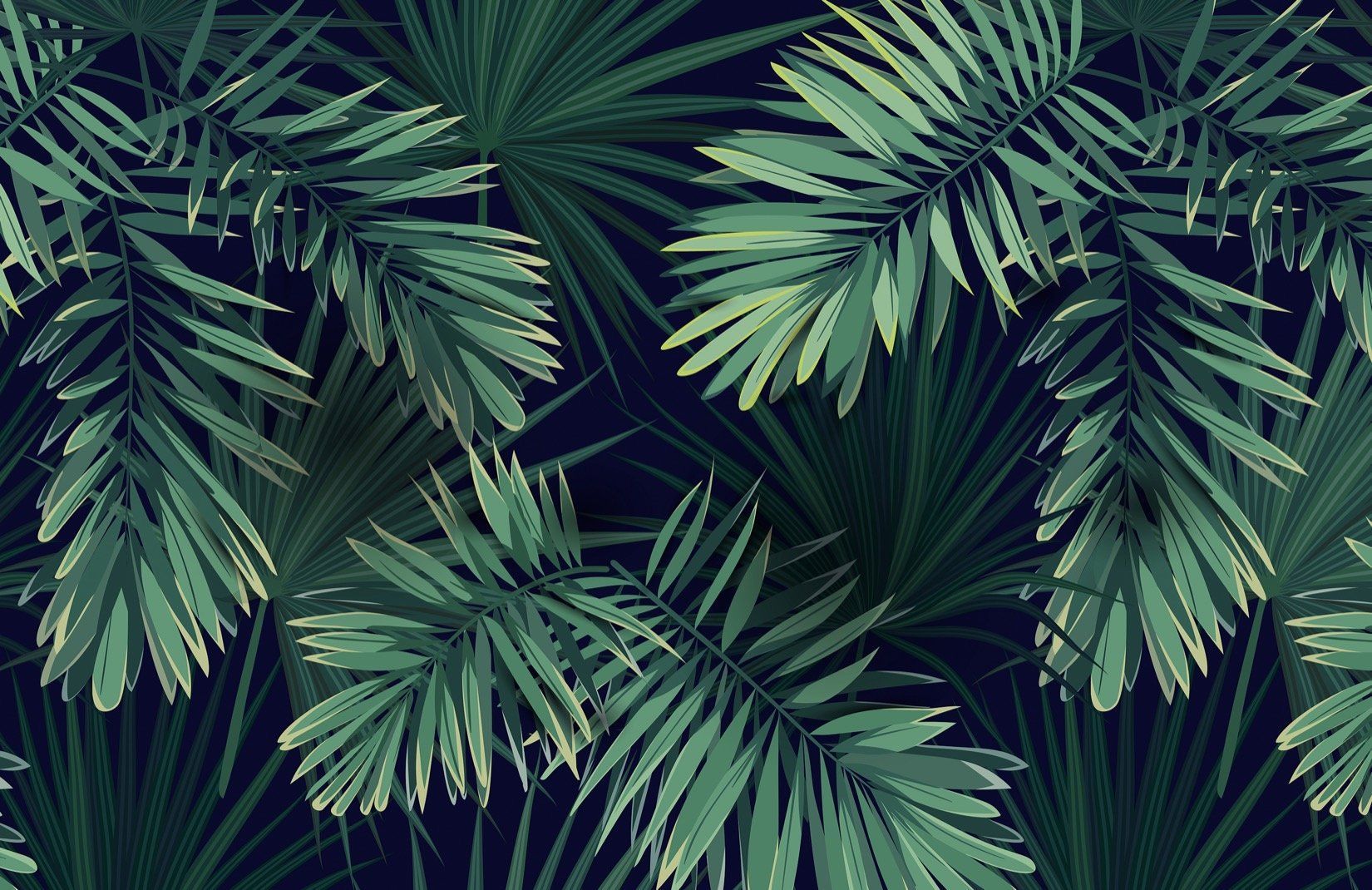 Tropical leaves on a dark blue background - Plants, tropical