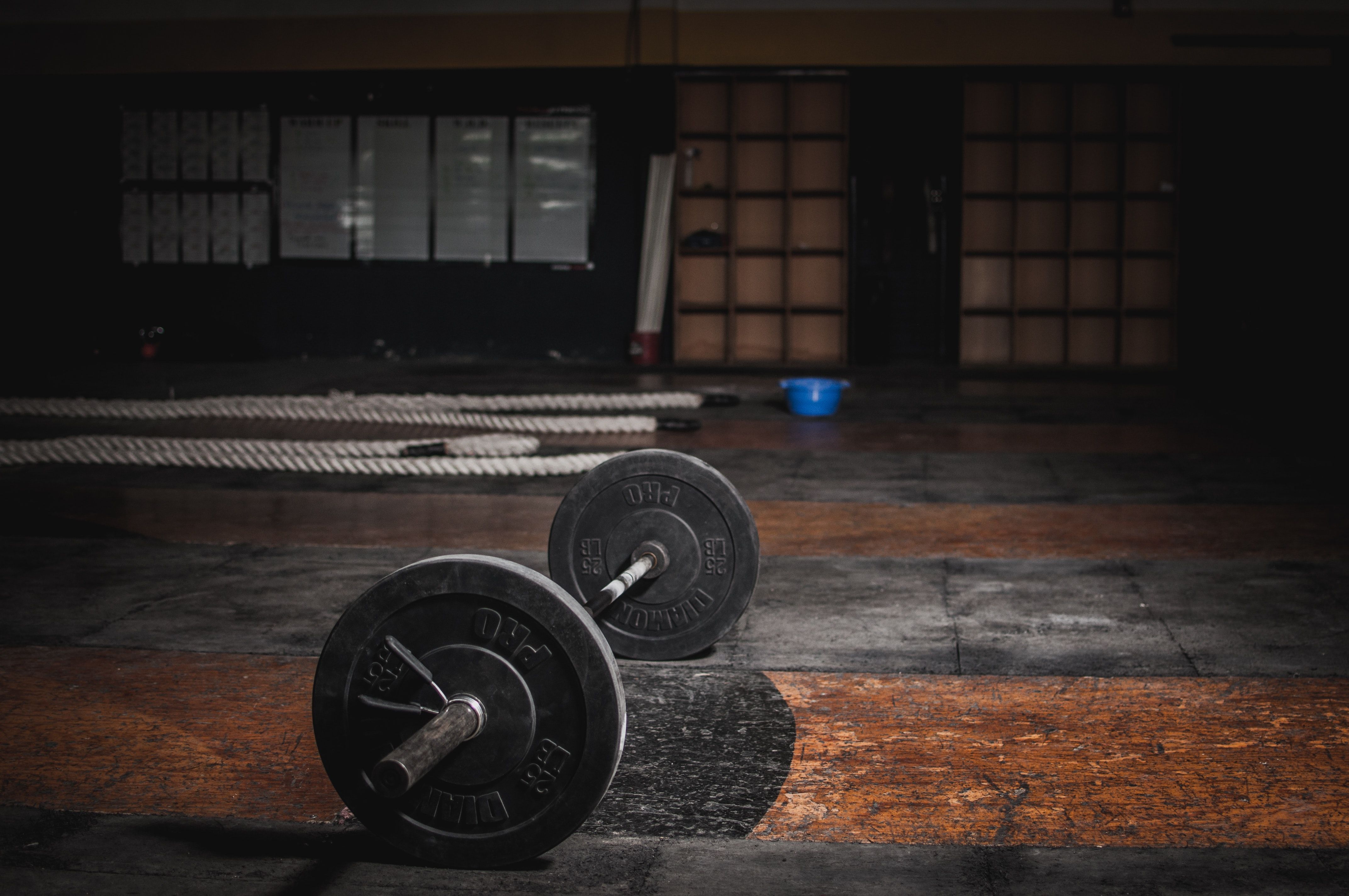 Barbell plates on the floor of a gym - Gym