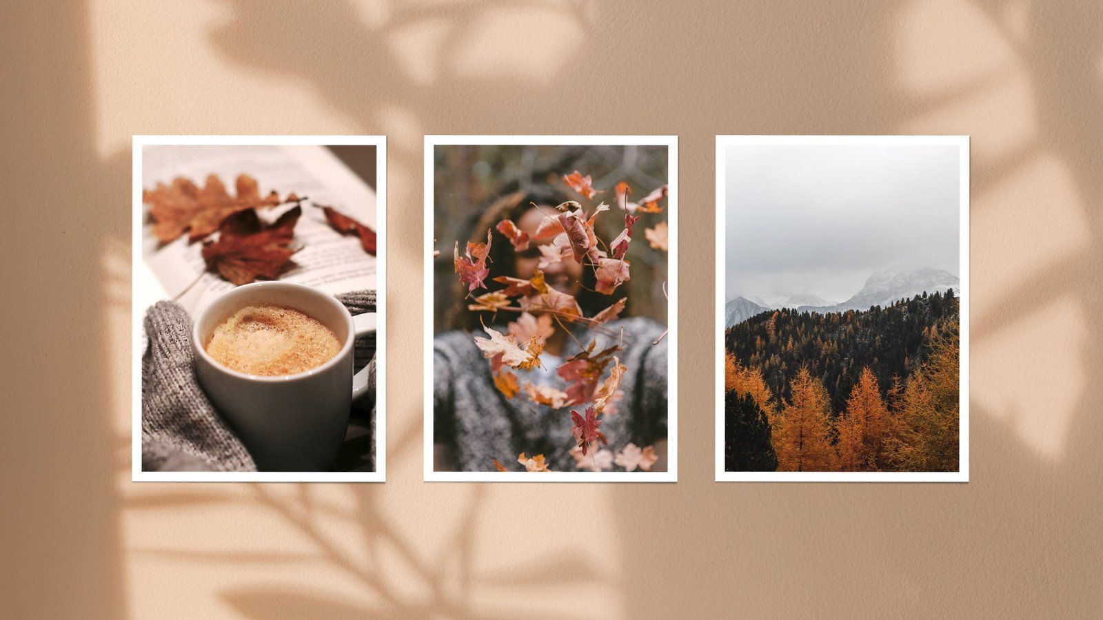 A photo of three pictures on the wall - Cozy, vintage fall