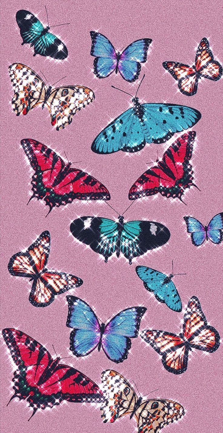 A group of butterflies on pink background - 2000s
