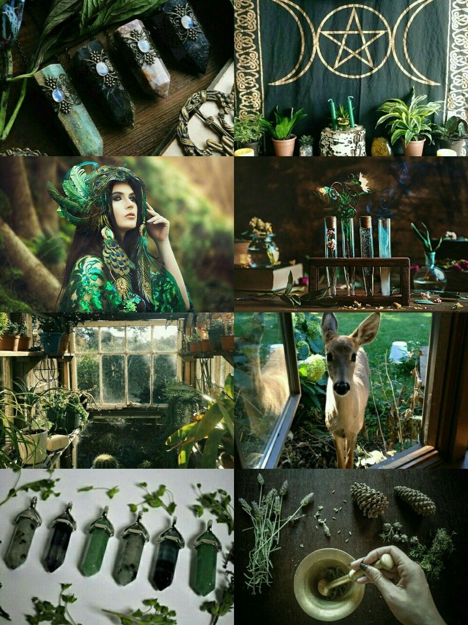 Green Witch Aesthetic Wallpaper
