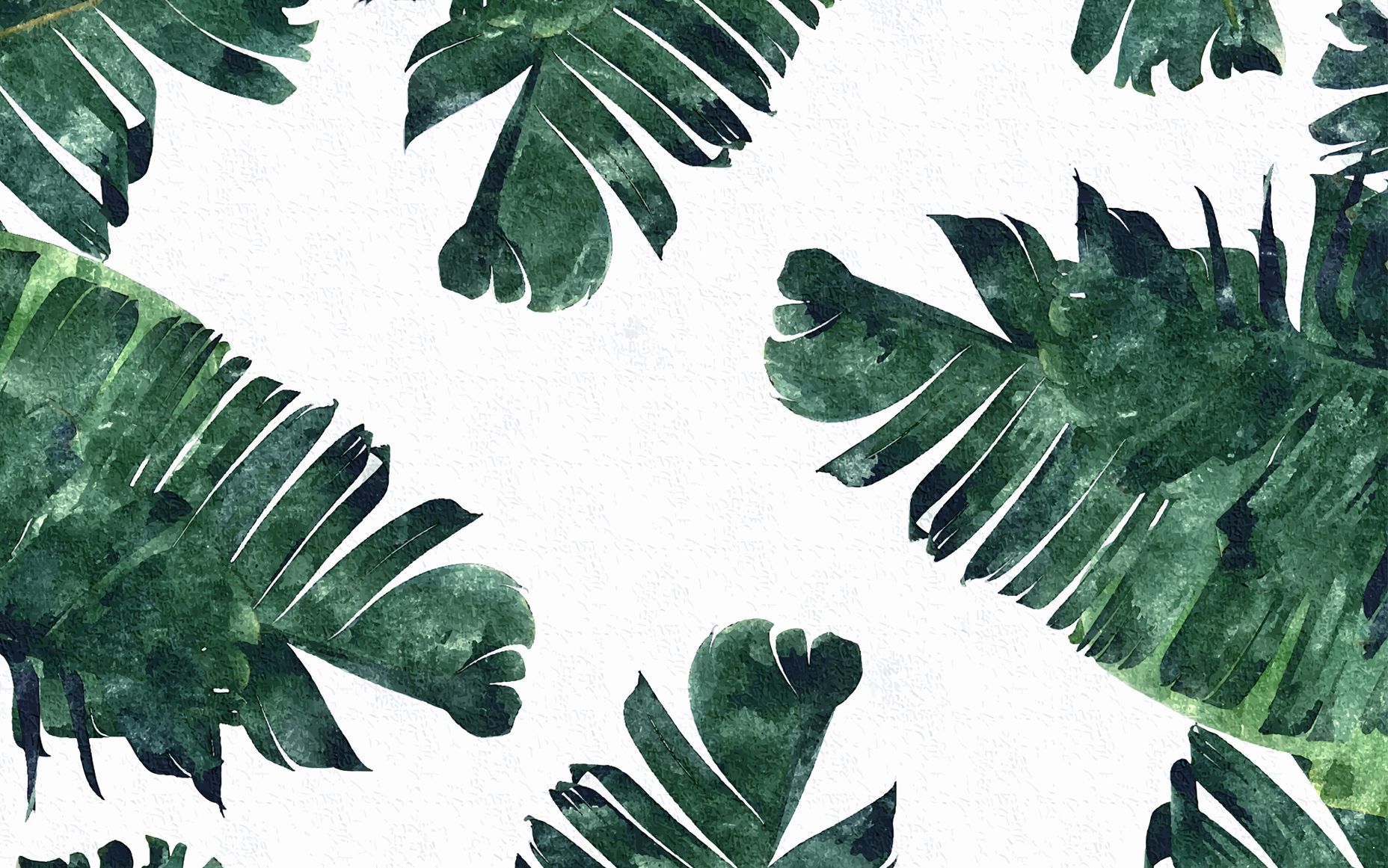 A watercolor painting of green leaves on white paper - Tropical, leaves, plants