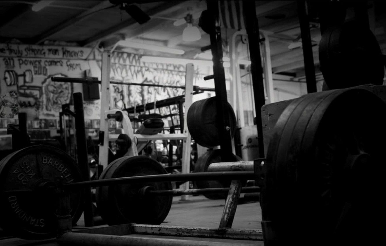 A barbell on a rack in a gym - Gym