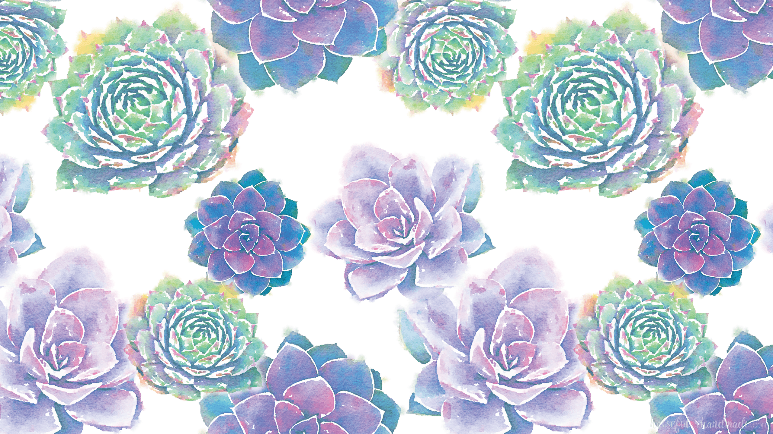 Free download Succulent Aesthetic Desktop Wallpaper on [2560x1440] for your Desktop, Mobile & Tablet. Explore Colorful Succulent Desktop Wallpaper. Colorful Wallpaper, Colorful Background, Wallpaper Colorful