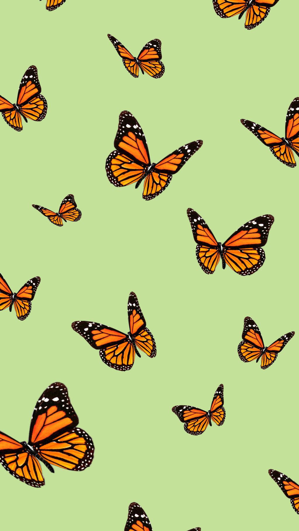 Free Butterfly Aesthetic Wallpaper Downloads, Butterfly Aesthetic Wallpaper for FREE