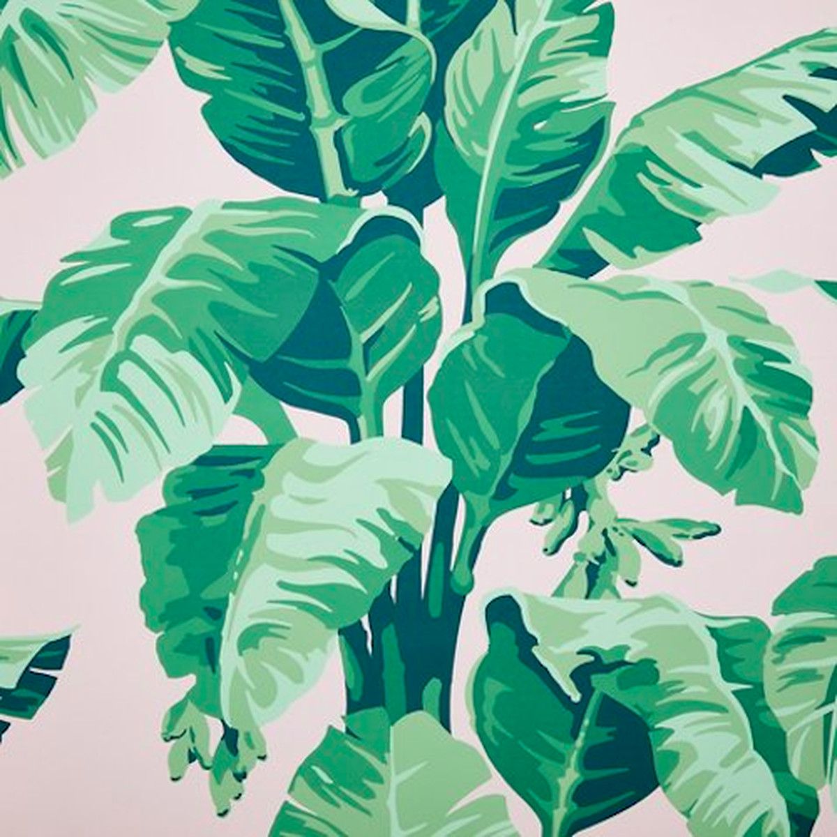 A close up of a wallpaper featuring a large banana leaf print in green and pink - Modern, tropical, soft green, light green