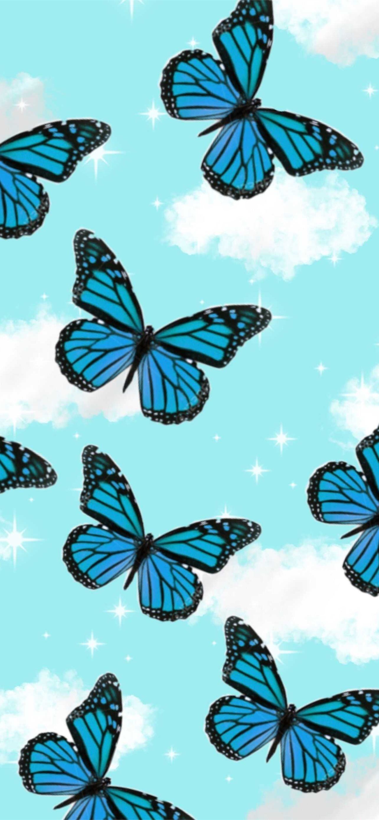 butterfly iPhone Wallpaper Free Download