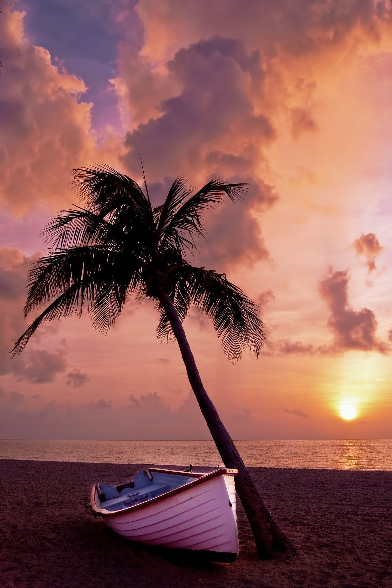 A boat sitting on the beach with palm tree - Tropical