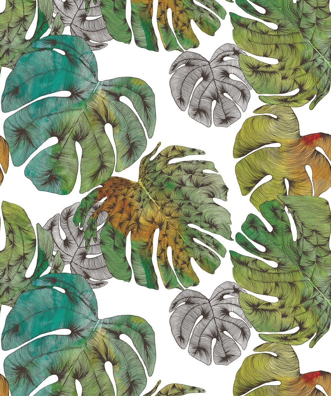 Monstera • Fill Your Life With A Lush Tropical Wallpaper