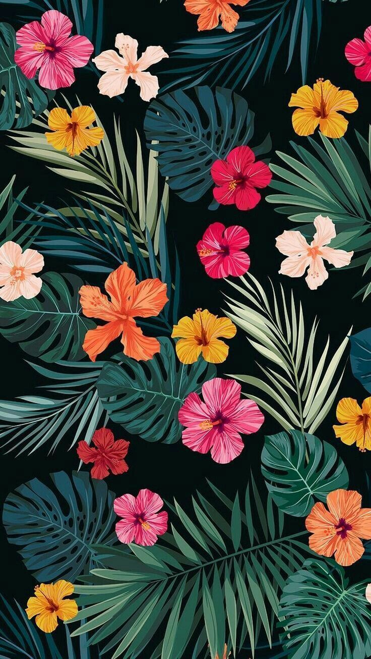 Tropical wallpaper for your phone - Tropical