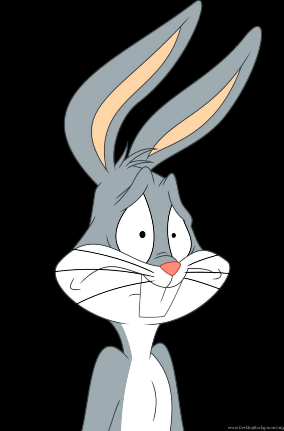 Bugs bunny, the famous cartoon character - Bugs Bunny