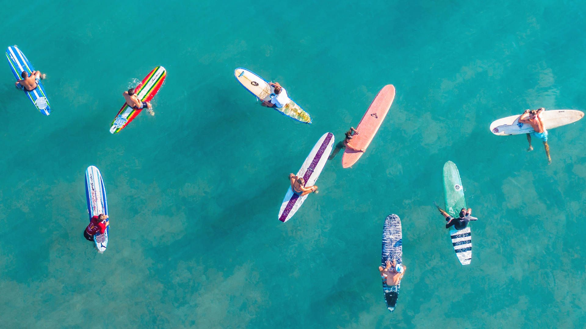 A group of people on surfboards in the water - Surf