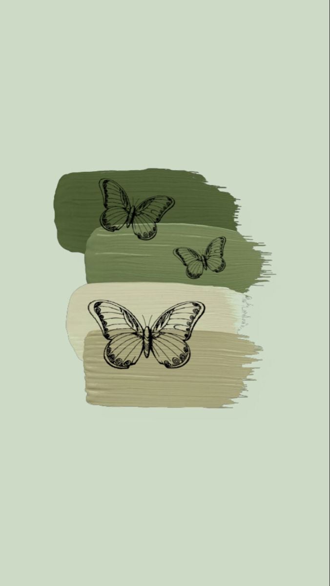 A butterfly on green and brown paint - Green, sage green