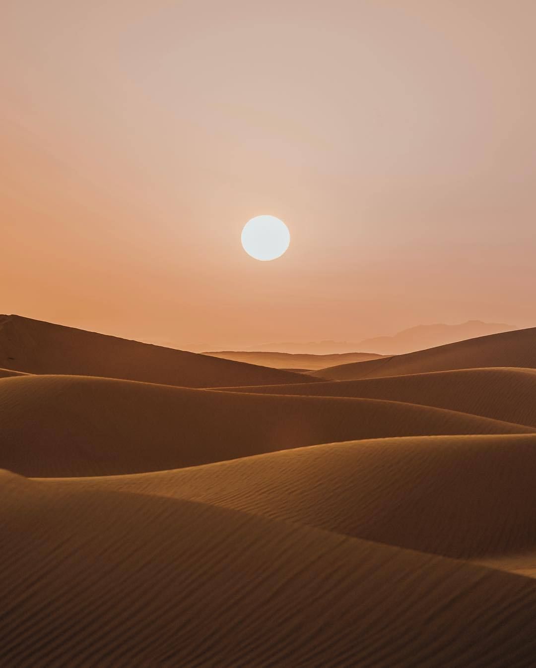 Fresh Brewed Life. Desert aesthetic, Scenery, Aesthetic background