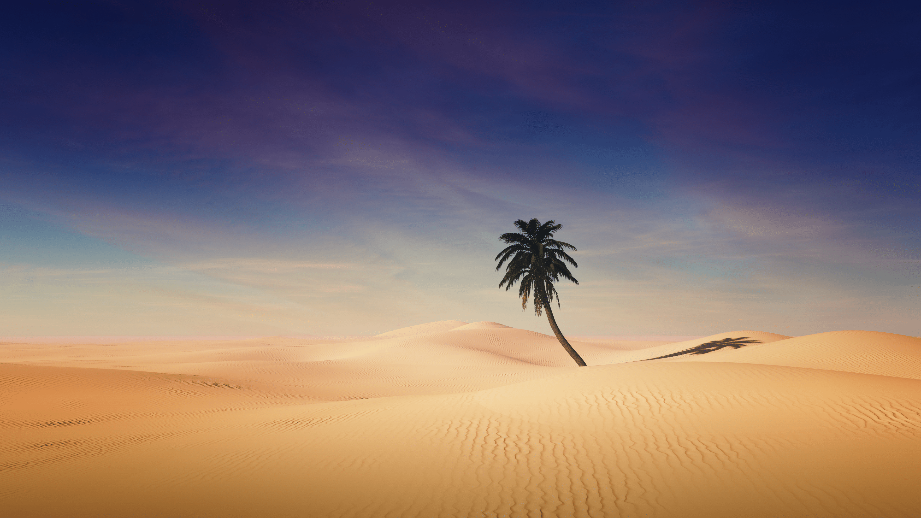 Palm tree Wallpaper 4K, Desert, Sand Dunes, Nature