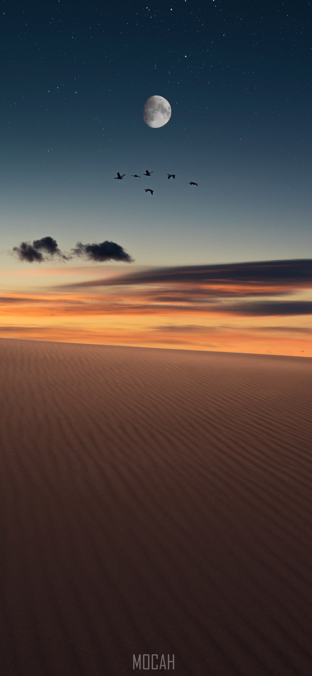 IPhone wallpaper of a beautiful desert landscape at night with a full moon and birds flying in the sky. - Magic