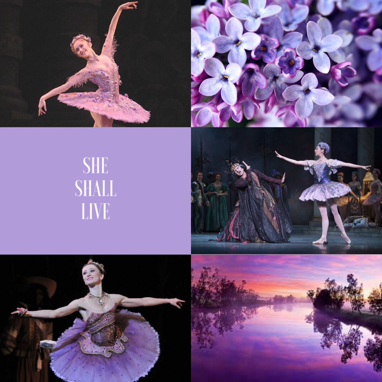 A collage of photos of ballerinas in purple tutus, with the words 