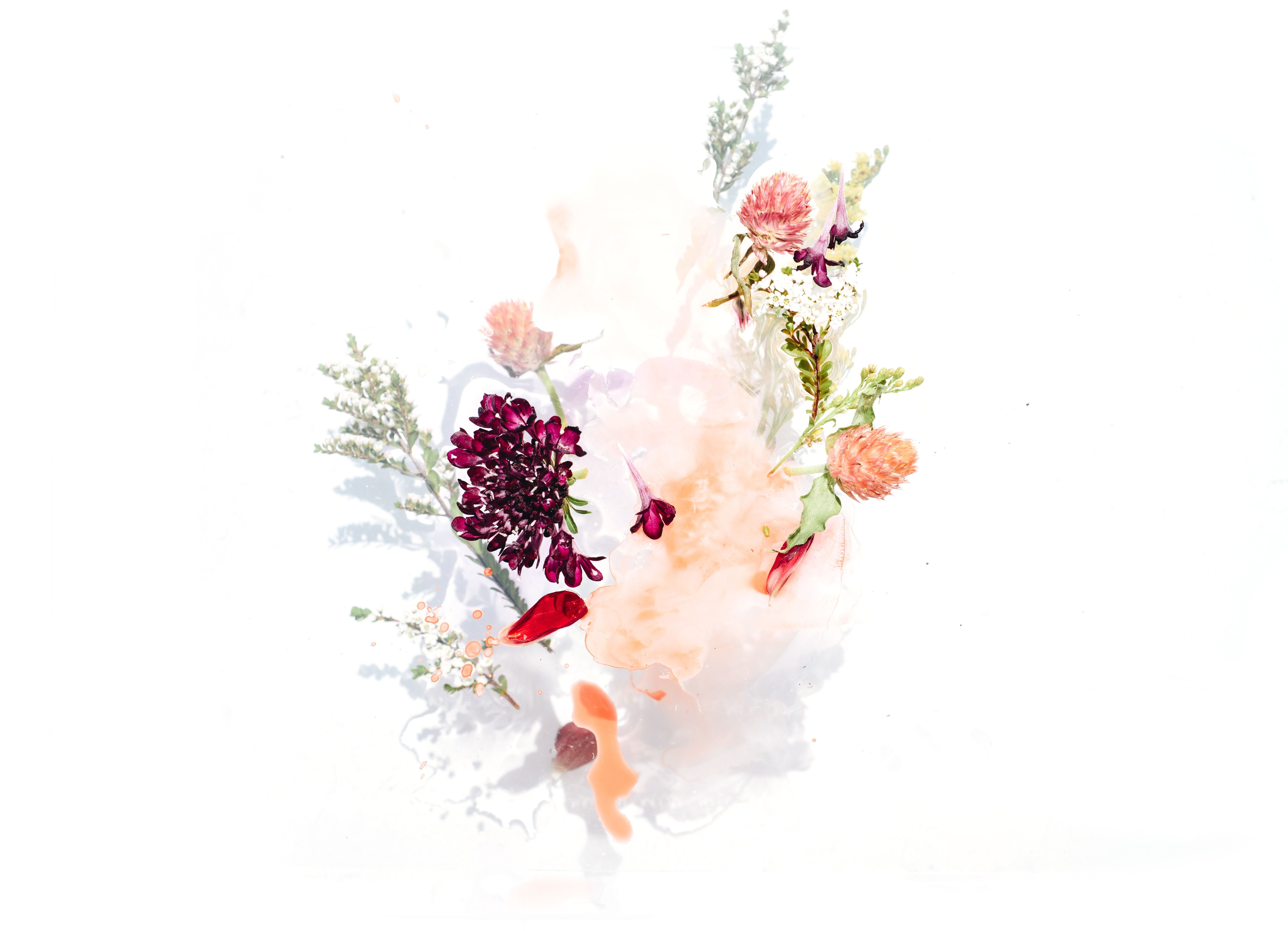 A still life image of flowers and smoke against a white background - Bright