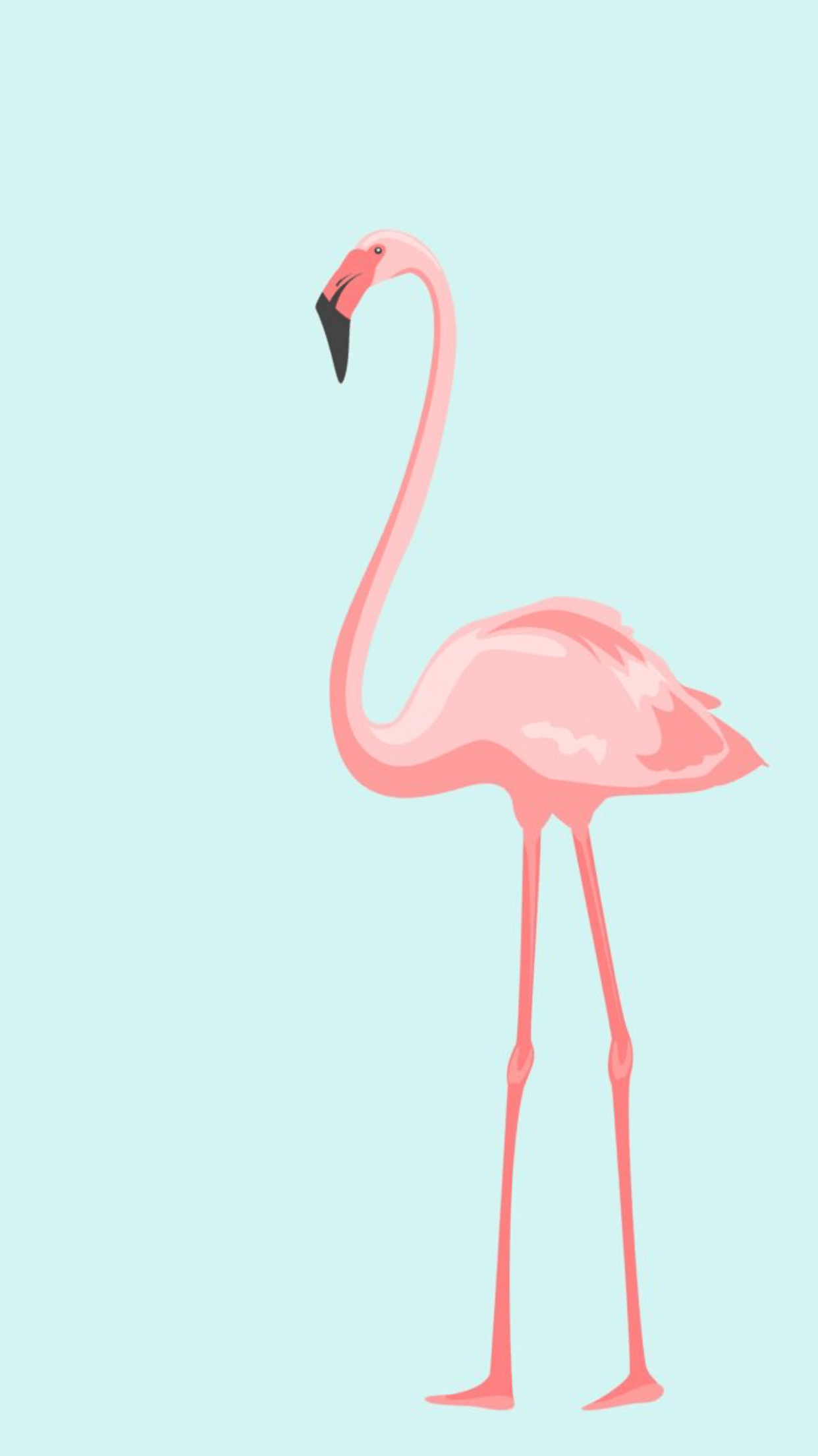 Tech Wallpaper. Flamingo wallpaper, Flamingo, Phone wallpaper