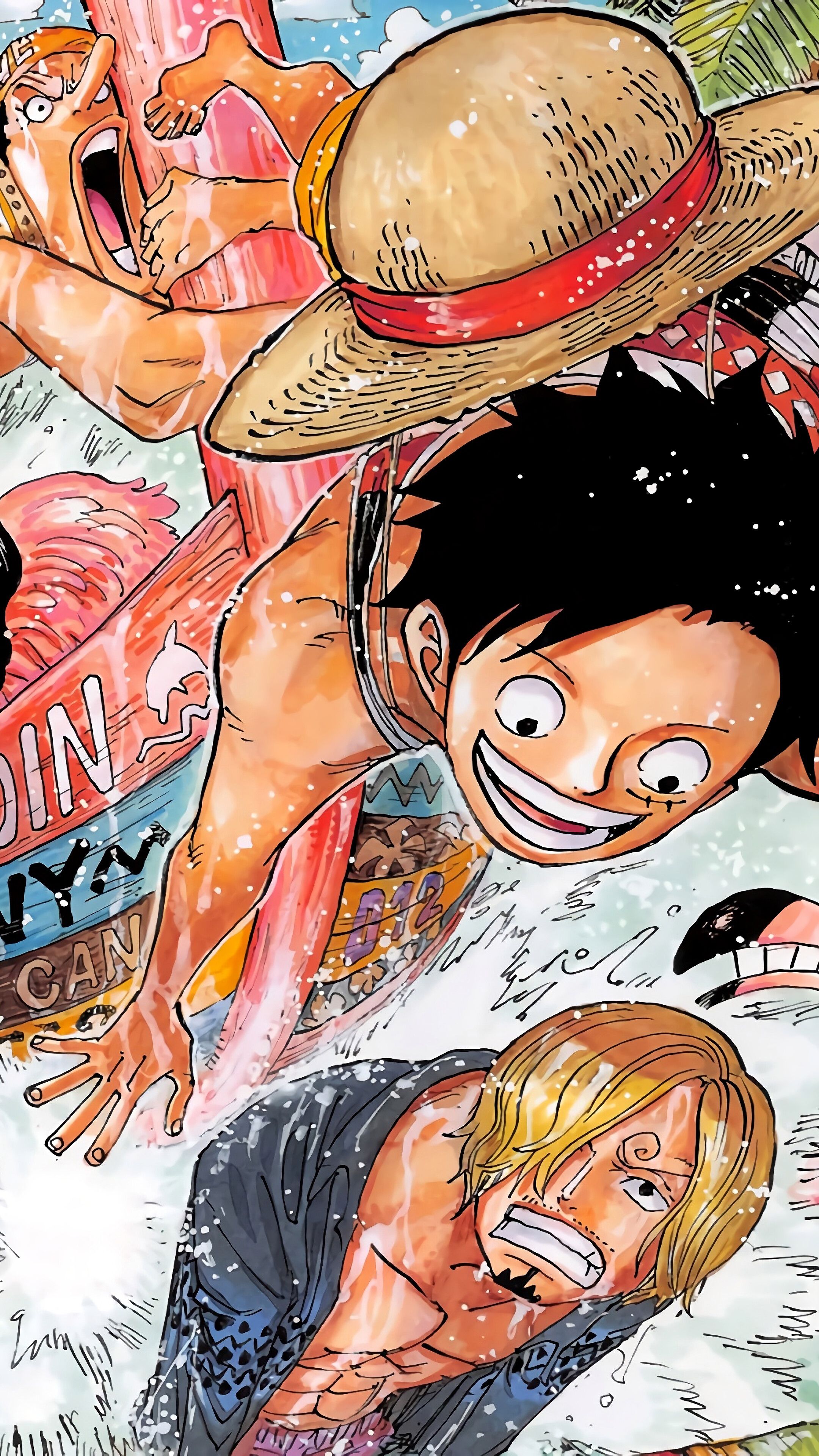 One piece anime characters in a cartoon - One Piece