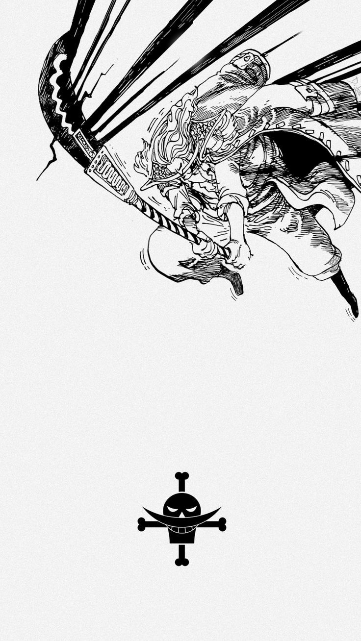 A black and white drawing of an airplane - One Piece