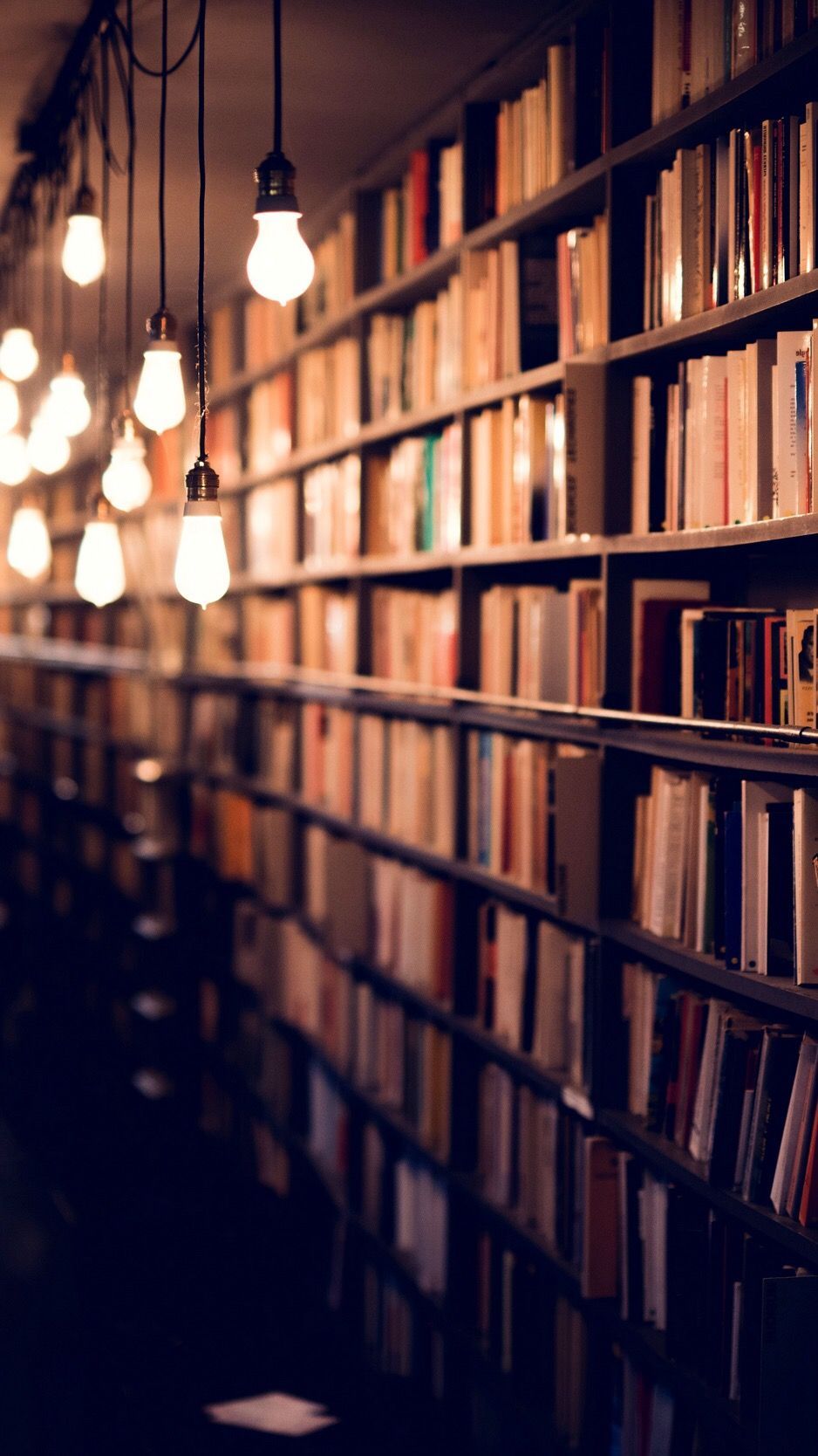 A library with rows of books and hanging lightbulbs. - Bookshelf, library