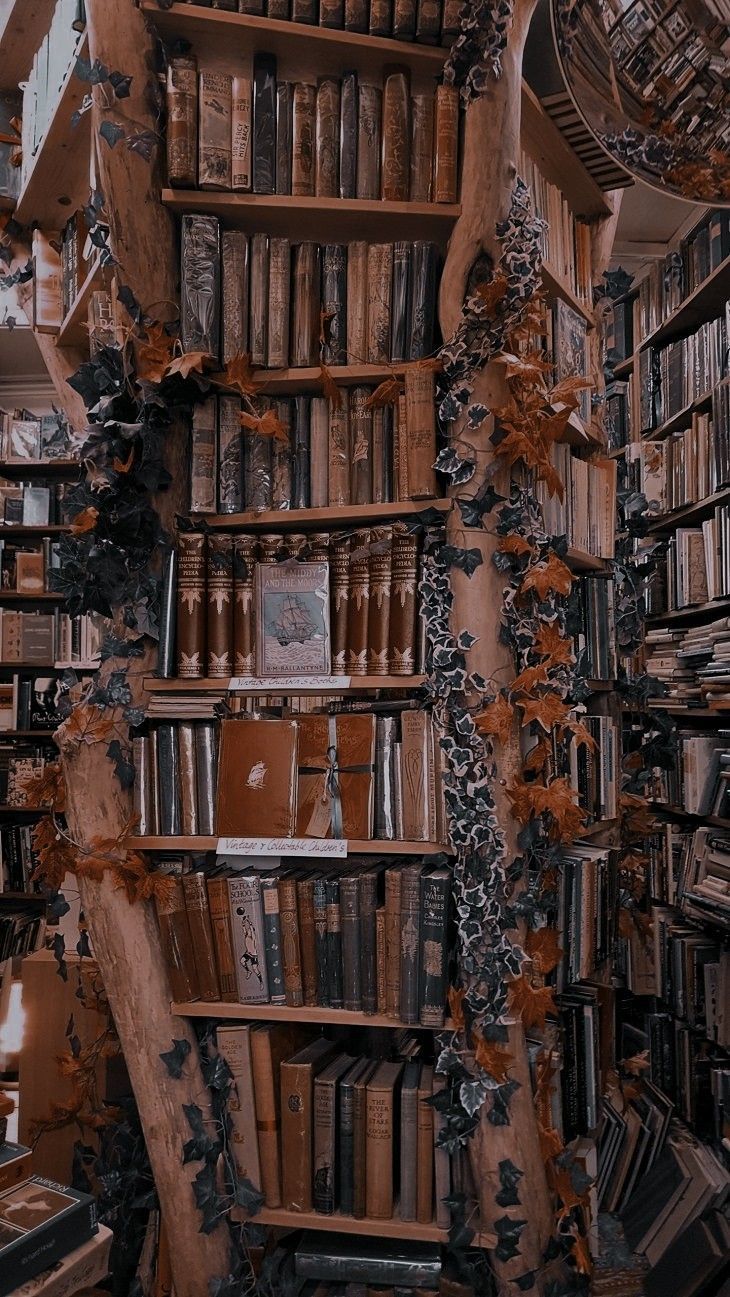 A room with many books and shelves - Library