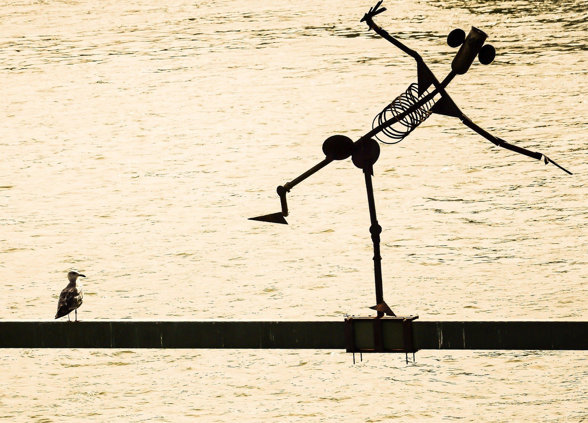 A seagull sits on a sculpture in the Danube in Belgrade, Serbia. - Dance