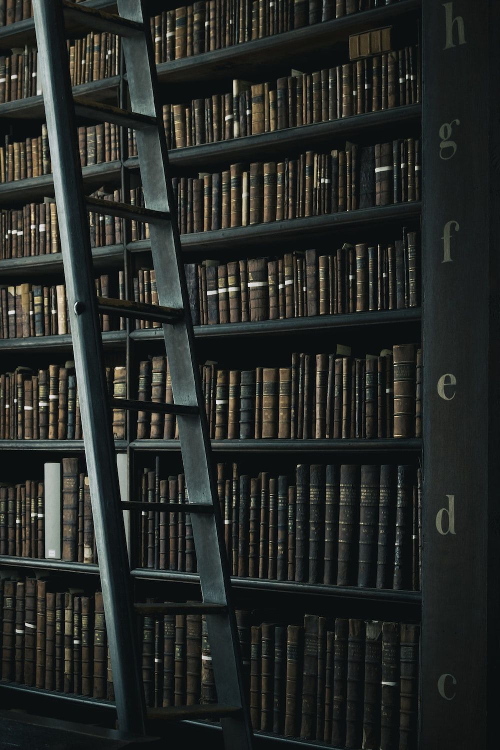 Dark Library Picture. Download Free Image