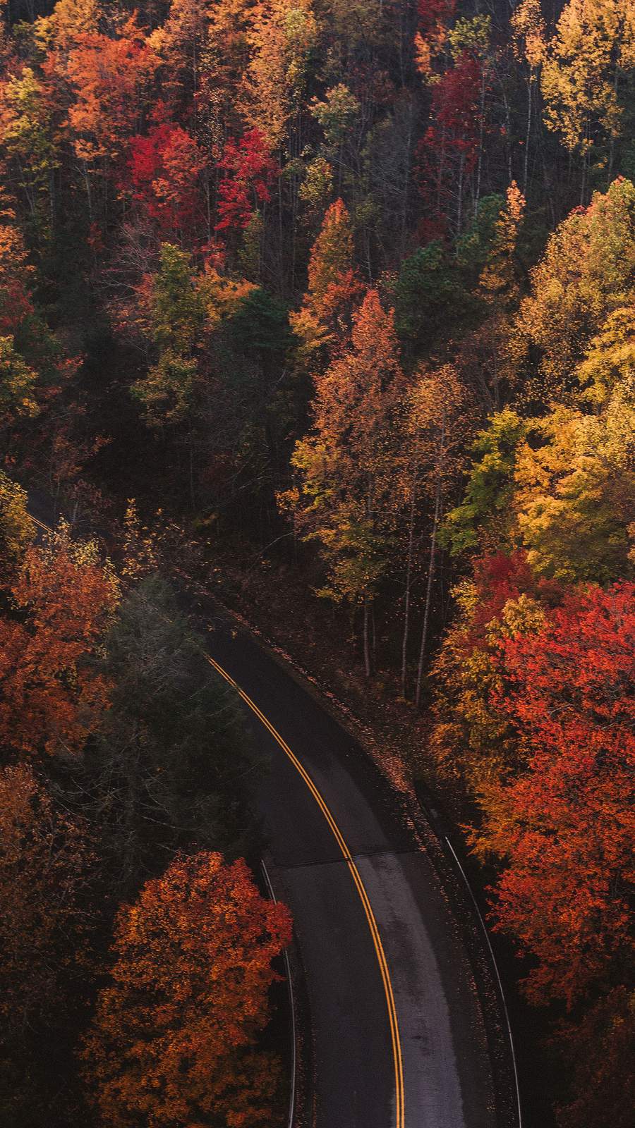 Autumn Roads Wallpaper : iPhone Wallpaper