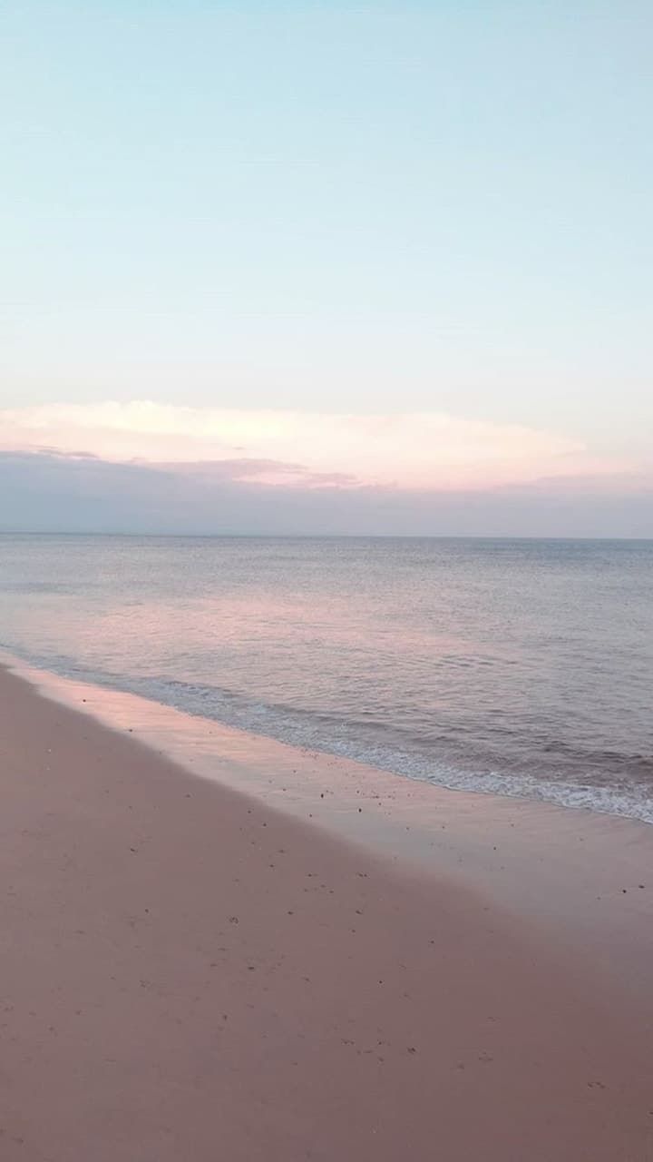 A person walking on the beach with their dog - Calming