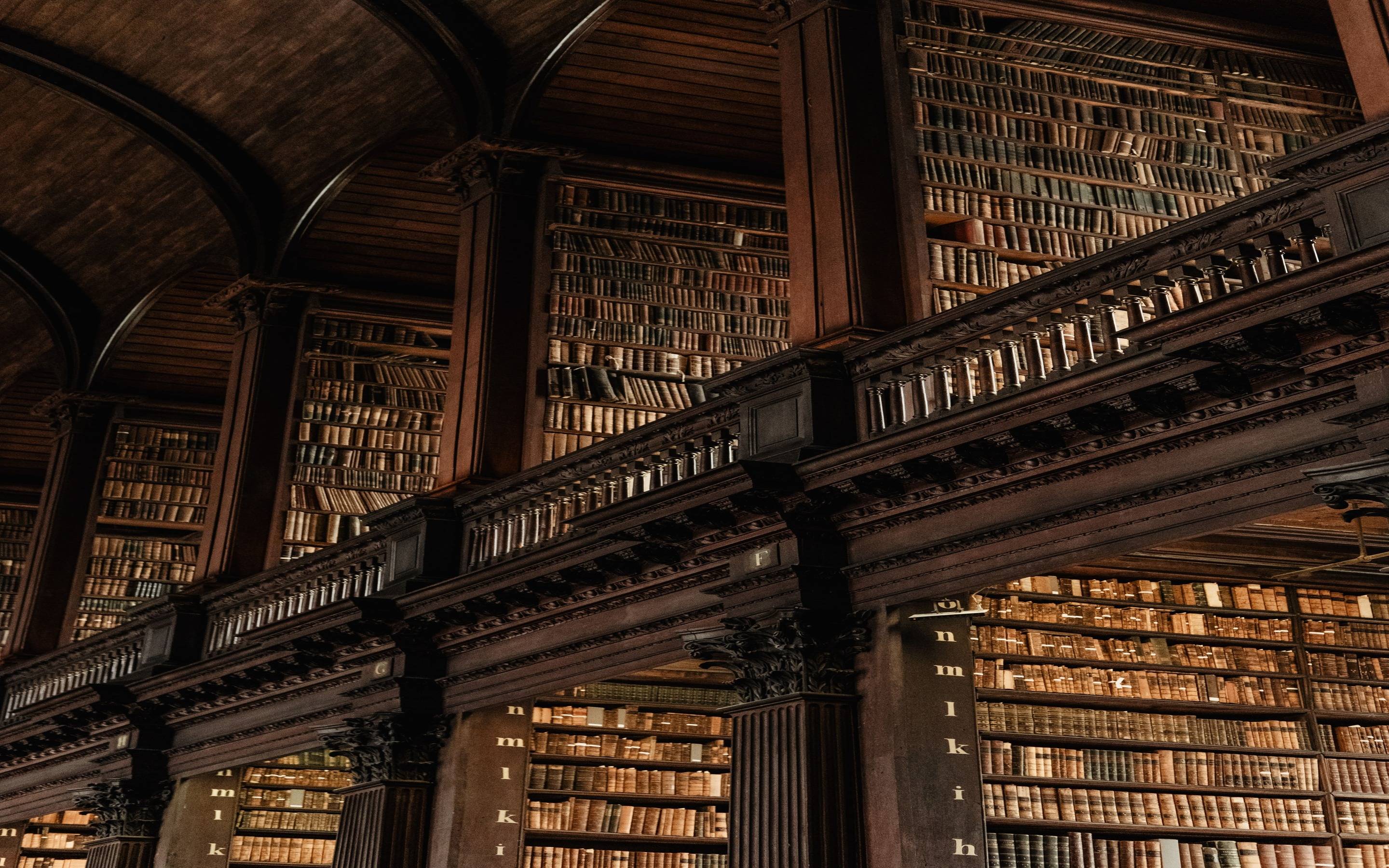 A library with books on shelves and a high arched ceiling - Library