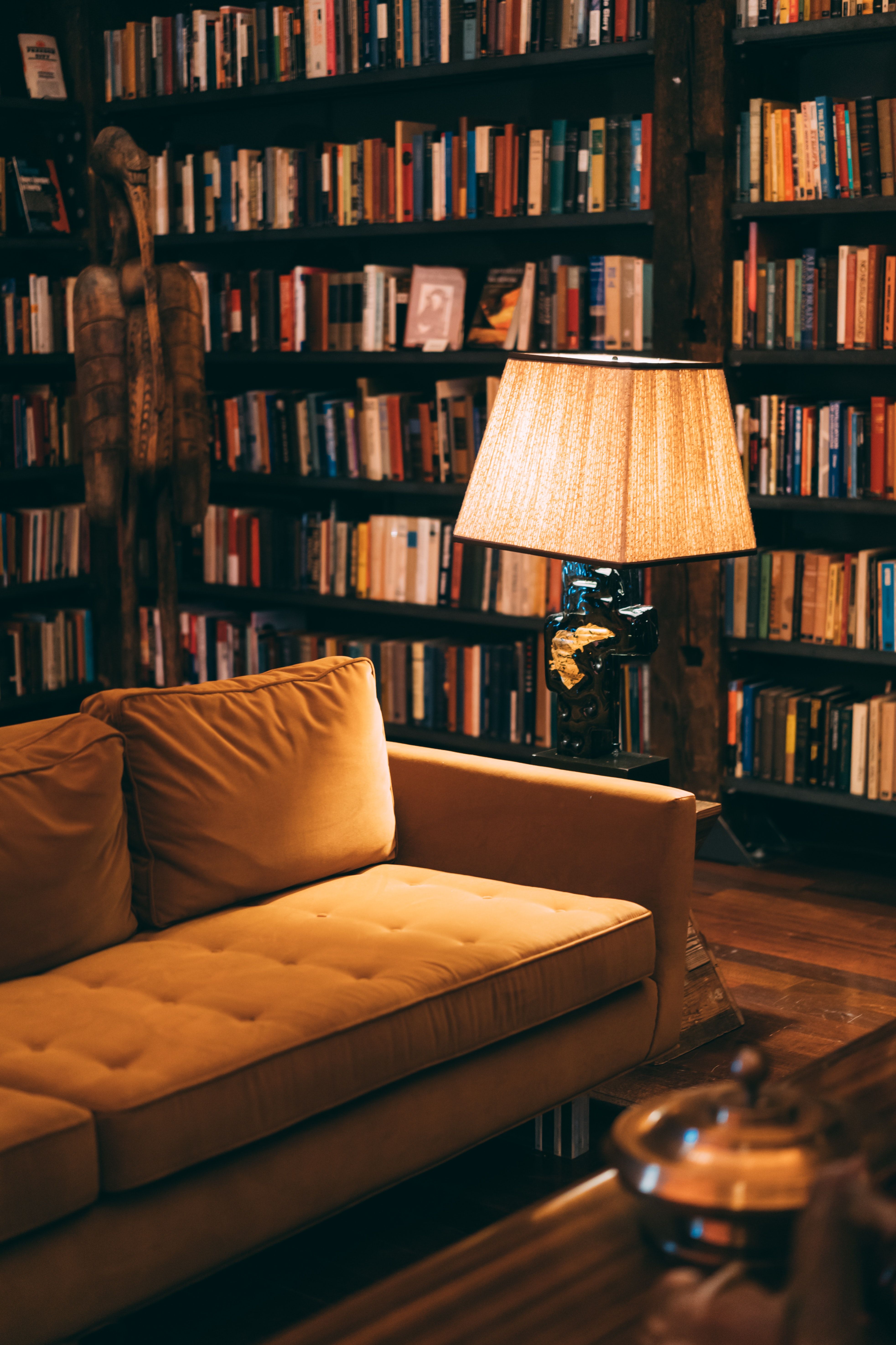 A couch is in front of bookshelves - Library