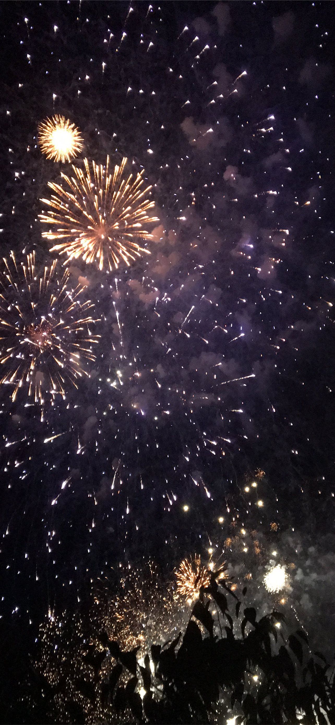 Fireworks light up the sky above a crowd of people - New Year