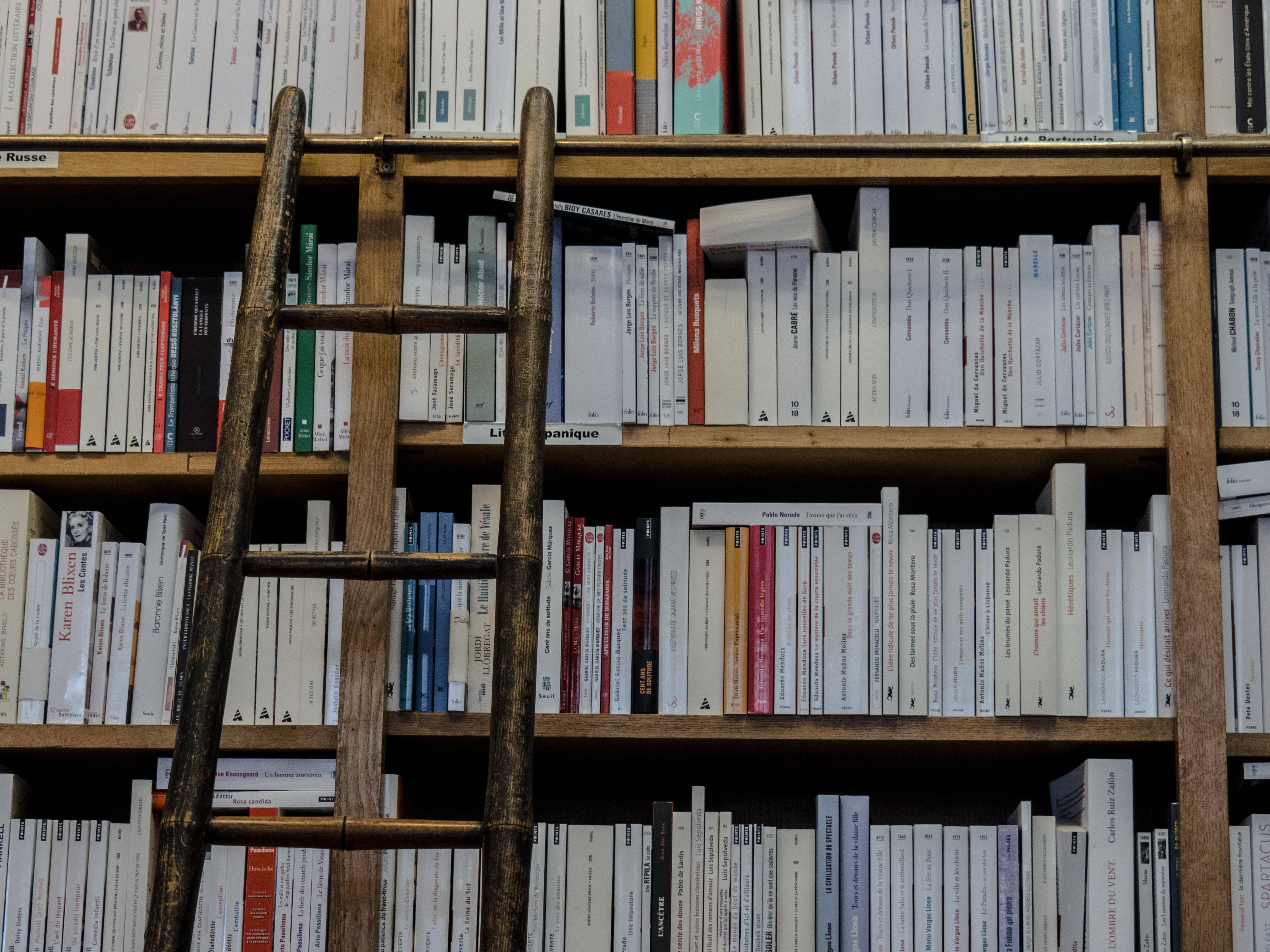 A ladder leans against a bookshelf full of books. - Library