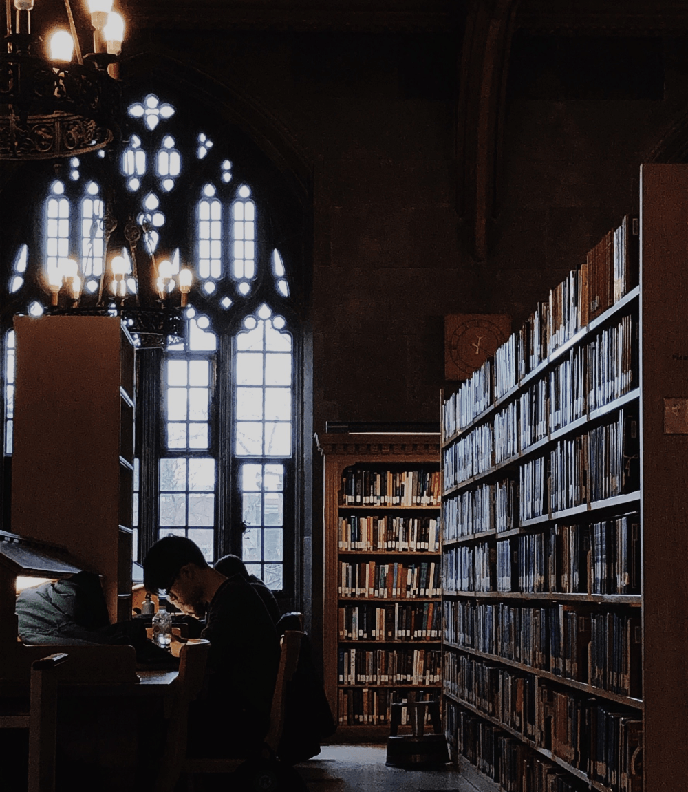 A man sitting at the library with his laptop - Library